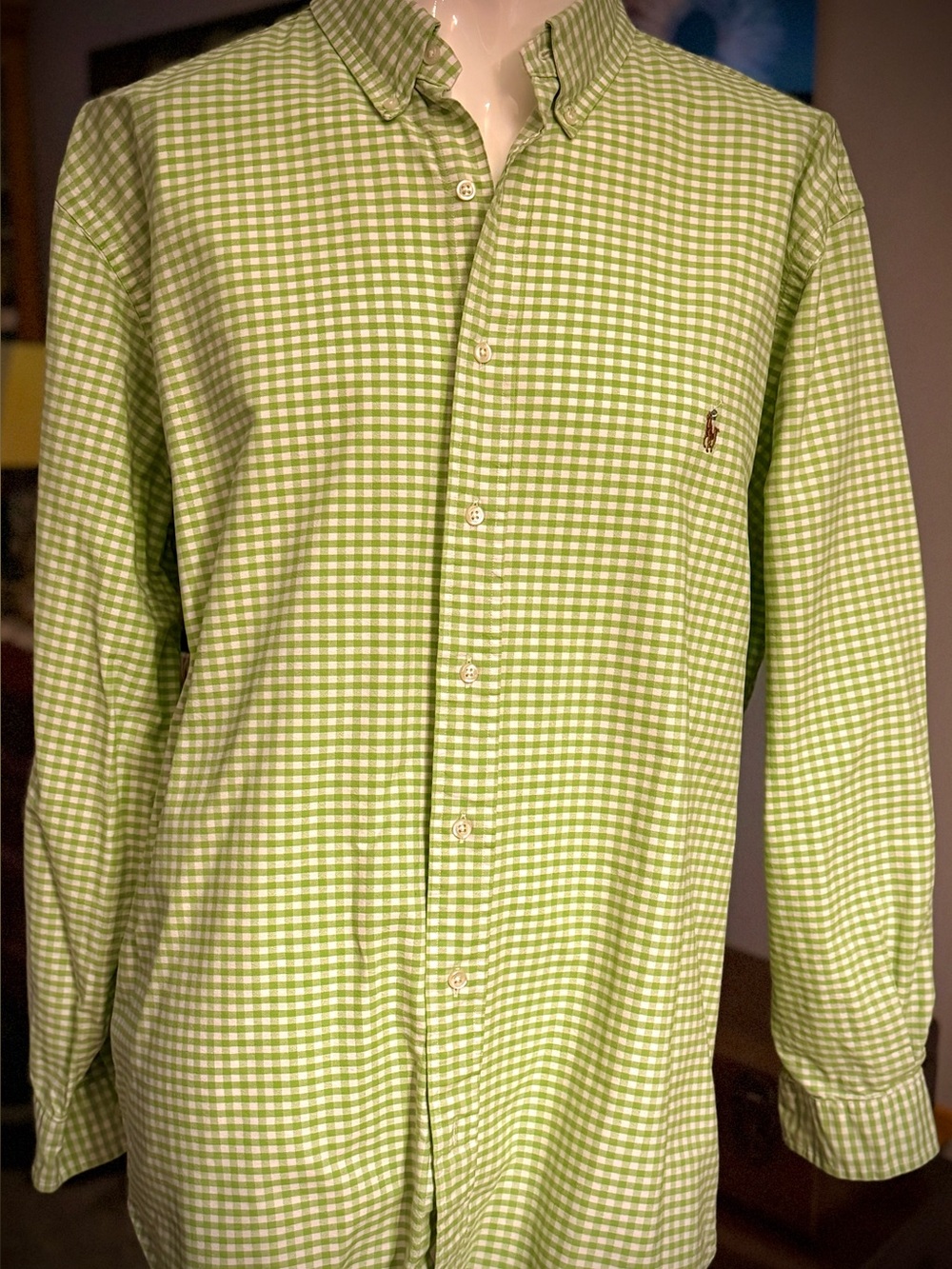 Polo by Ralph Lauren Light Green Gingham Button-Down Shirt